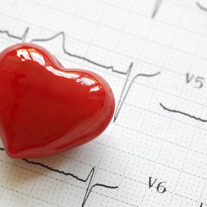 Cardiogram pulse trace and heart concept for cardiovascular medical exam