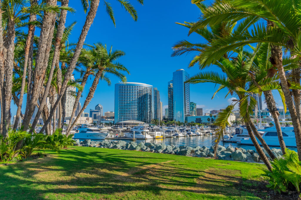 Palm trees frame part of the downtown San Diego skyline and surrounding harbor.